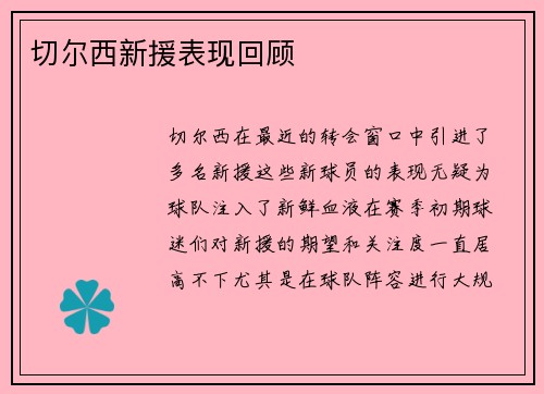 切尔西新援表现回顾