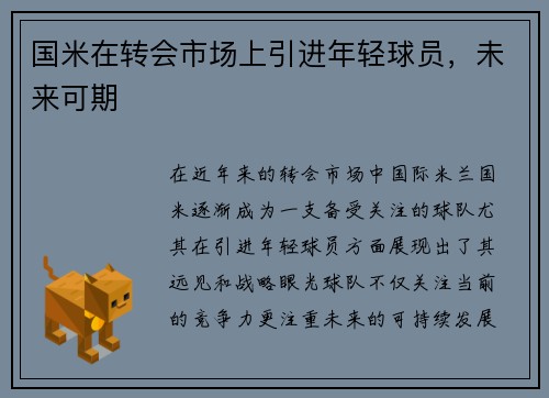 国米在转会市场上引进年轻球员，未来可期